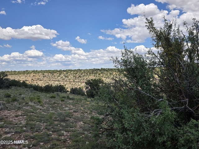 3561 S Red Butte Trl, Williams, AZ 86046