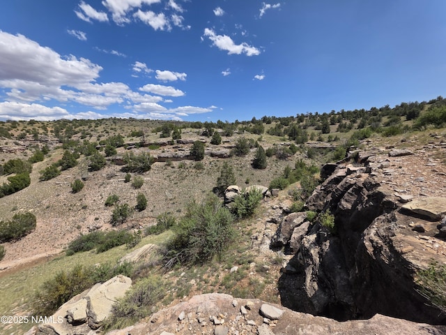 3561 S Red Butte Trl, Williams, AZ 86046