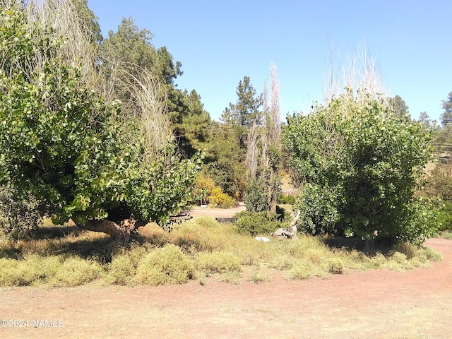 1600 S River Valley Rd, Flagstaff, AZ 86004 - view of nature