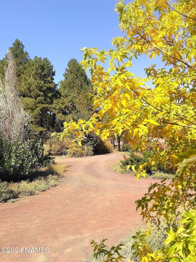 1600 S River Valley Rd, Flagstaff, AZ 86004 - view of community
