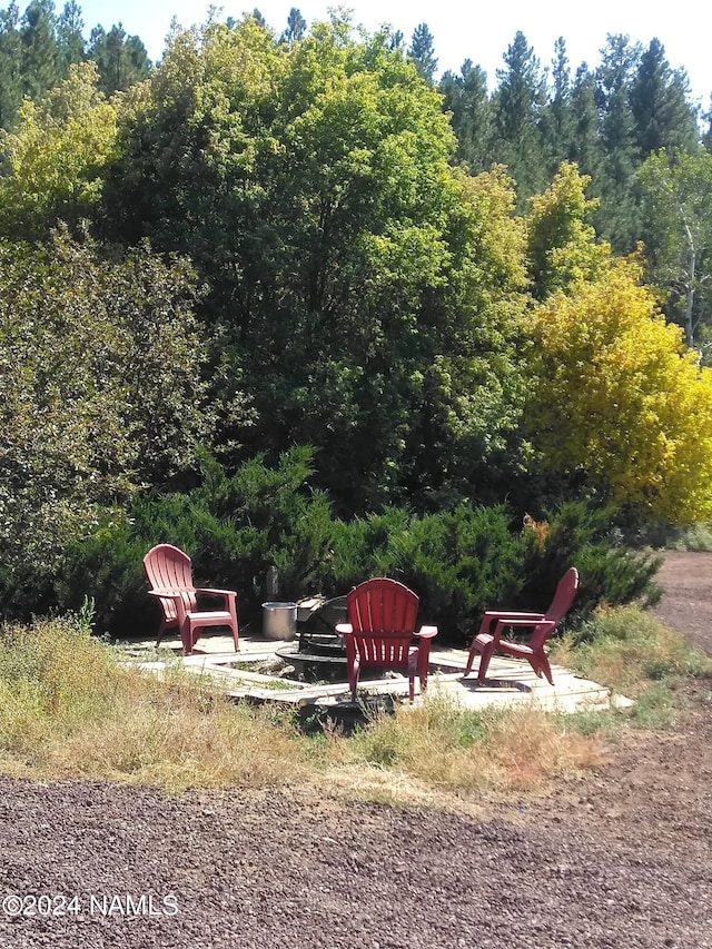 1600 S River Valley Rd, Flagstaff, AZ 86004 - view of yard featuring a forest view