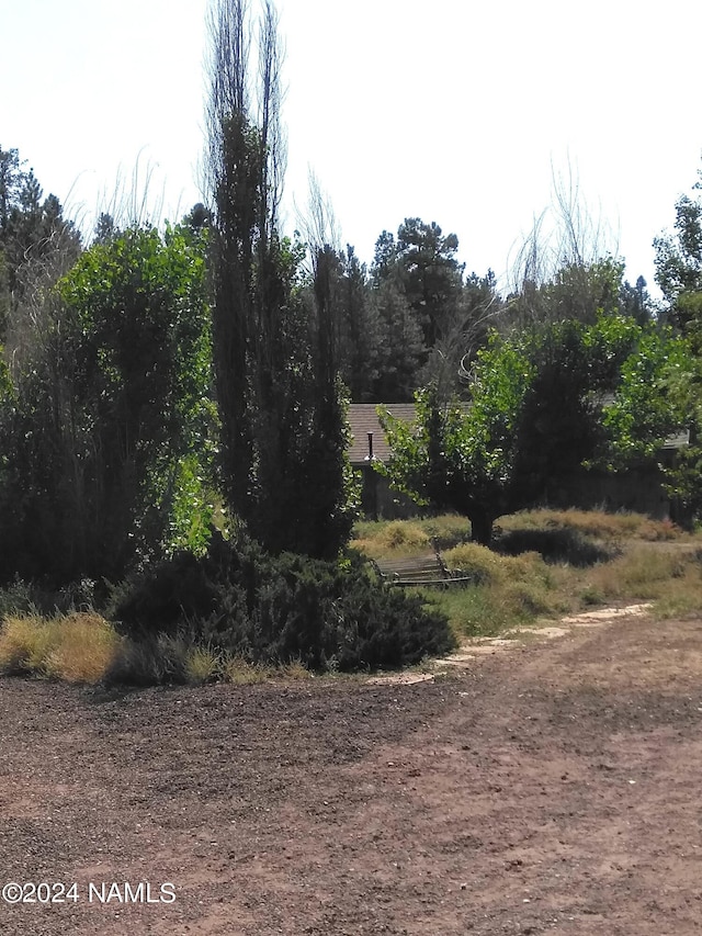 1600 S River Valley Rd, Flagstaff, AZ 86004 - view of local wilderness