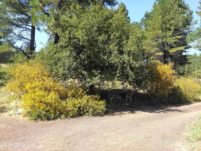 1600 S River Valley Rd, Flagstaff, AZ 86004 - view of local wilderness