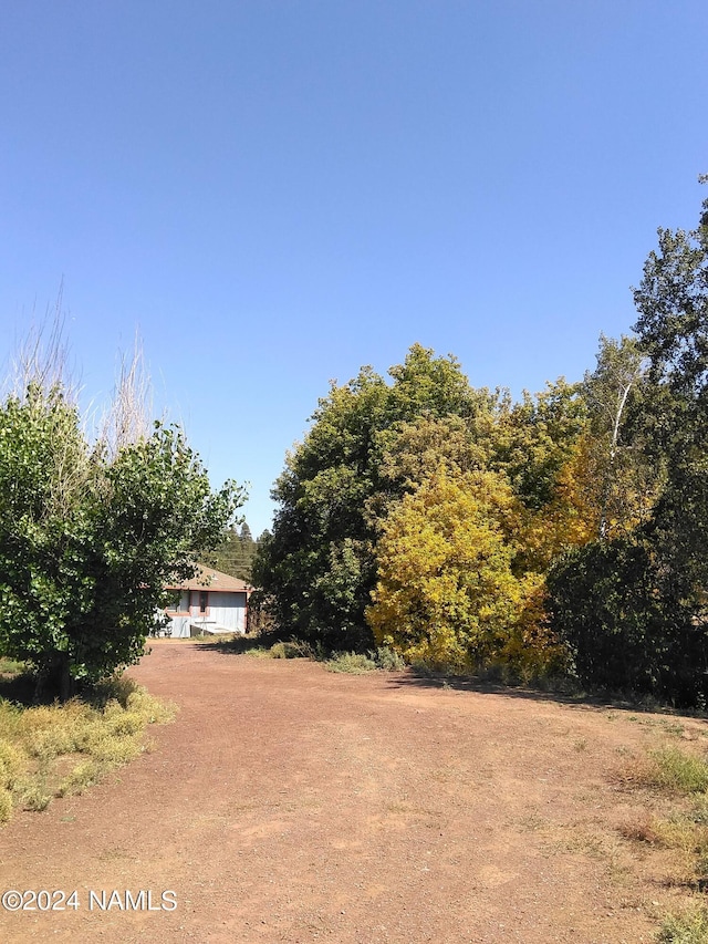 1600 S River Valley Rd, Flagstaff, AZ 86004 - view of yard