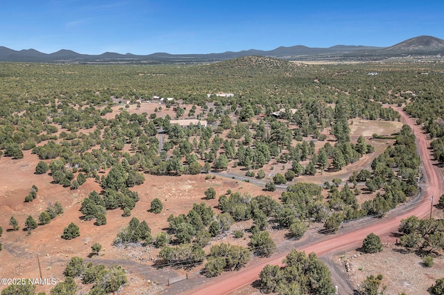 9665 N Stagecoach Dr, Williams, AZ 86046 - photo 83
