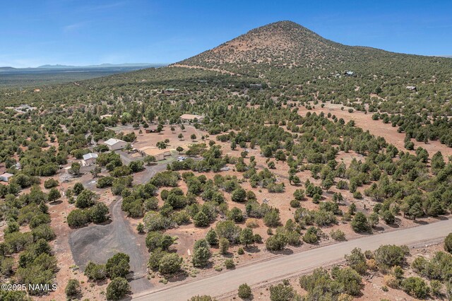 9665 N Stagecoach Dr, Williams, AZ 86046 - photo 87