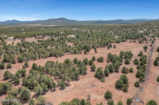9665 N Stagecoach Dr, Williams, AZ 86046 - photo 91