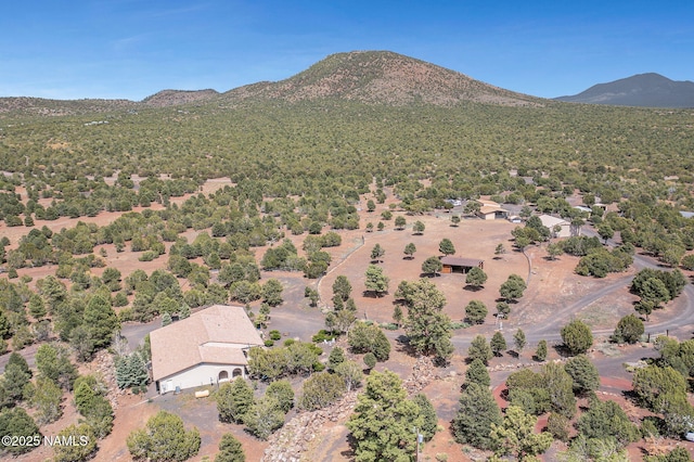 9665 N Stagecoach Dr, Williams, AZ 86046 - photo 85