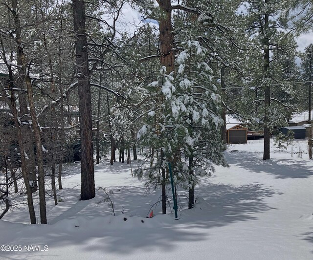 615 Hillside Dr, Munds Park, AZ 86017 - photo 7