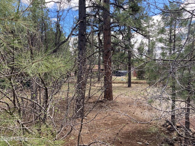 615 Hillside Dr, Munds Park, AZ 86017 - photo 5