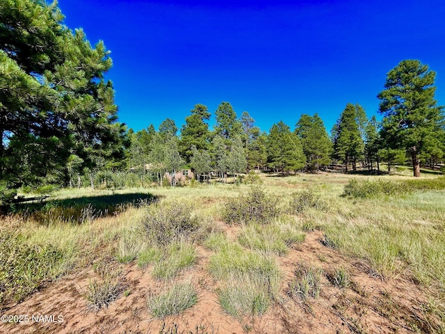 2283 Chisholm Trl, Flagstaff, AZ 86005 - photo 26