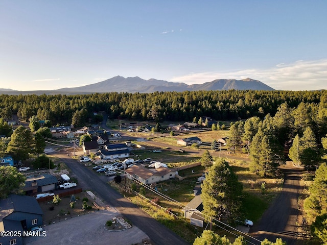 2283 Chisholm Trl, Flagstaff, AZ 86005 - photo 4