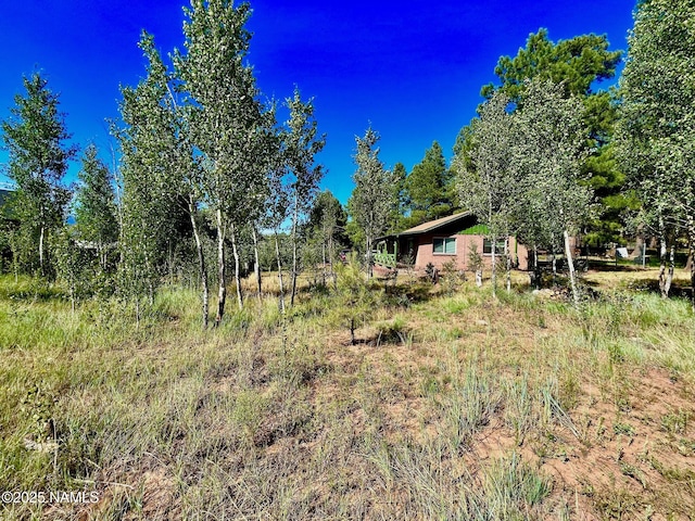2283 Chisholm Trl, Flagstaff, AZ 86005 - photo 9