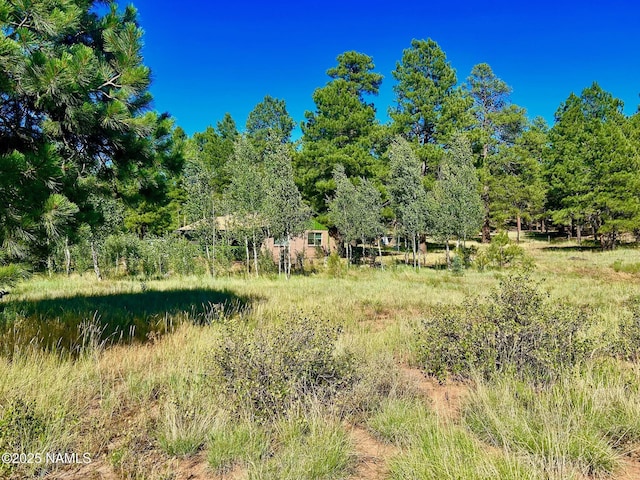 2283 Chisholm Trl, Flagstaff, AZ 86005 - photo 30