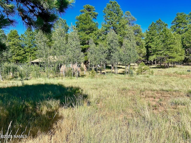 2283 Chisholm Trl, Flagstaff, AZ 86005 - photo 38