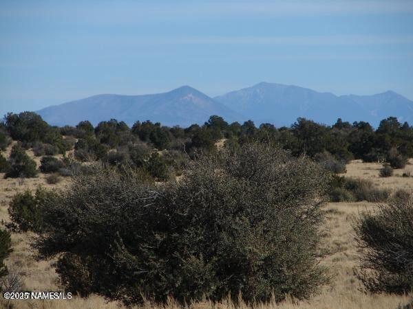7428 Mineral Wells Rd, Williams, AZ 86046