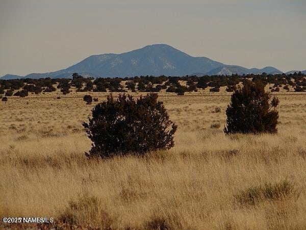 7428 Mineral Wells Rd, Williams, AZ 86046