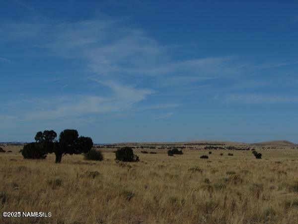 7428 Mineral Wells Rd, Williams, AZ 86046