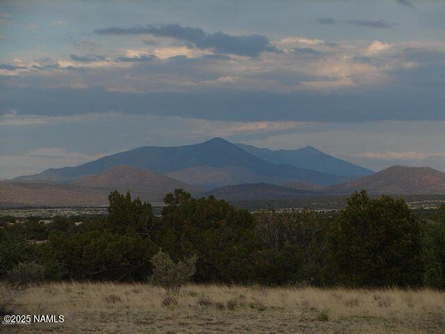 7428 Mineral Wells Rd, Williams, AZ 86046