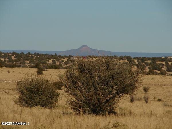 7428 Mineral Wells Rd, Williams, AZ 86046