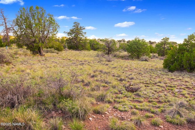 212 S Palmetto Rd, Williams, AZ 86046