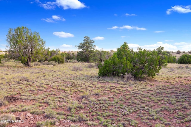212 S Palmetto Rd, Williams, AZ 86046