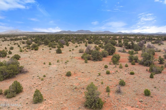 8449 E Water Tank Cir Unit C, Williams, AZ 86046 - photo 41
