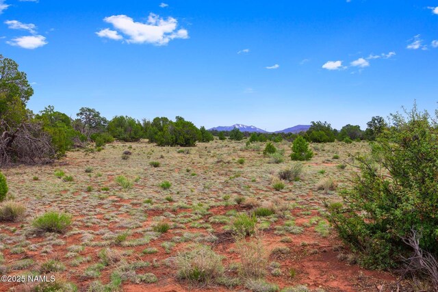 8449 E Water Tank Cir Unit C, Williams, AZ 86046 - photo 15