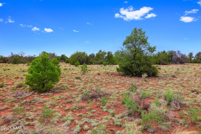 8449 E Water Tank Cir Unit C, Williams, AZ 86046 - photo 13