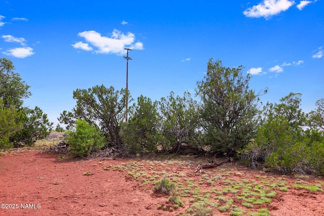 8449 E Water Tank Cir Unit C, Williams, AZ 86046 - photo 2