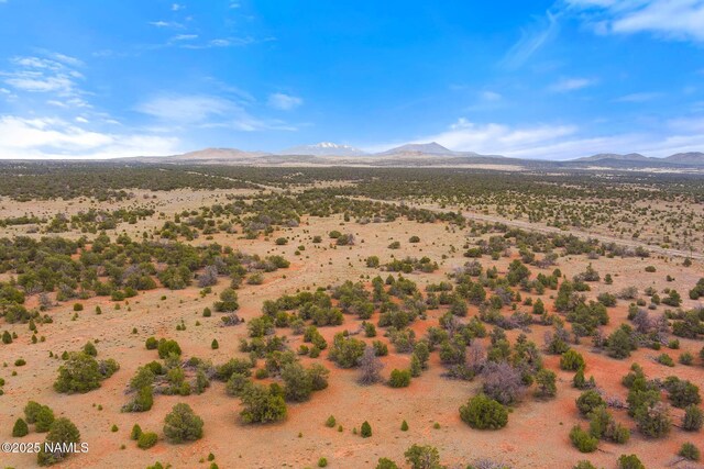 8449 E Water Tank Cir Unit C, Williams, AZ 86046 - photo 6