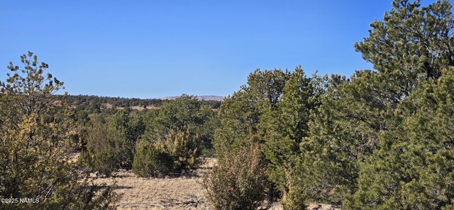 4519 Lasso Loop Unit B, Williams, AZ 86046