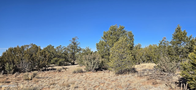 4519 Lasso Loop Unit B, Williams, AZ 86046