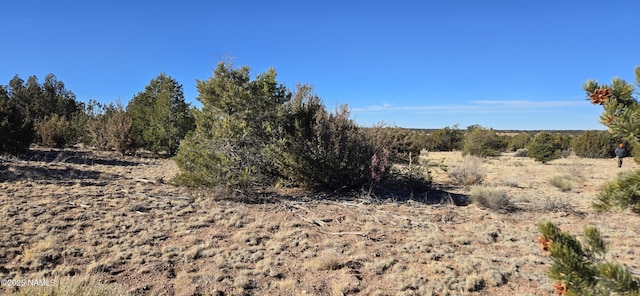 4519 Lasso Loop Unit B, Williams, AZ 86046