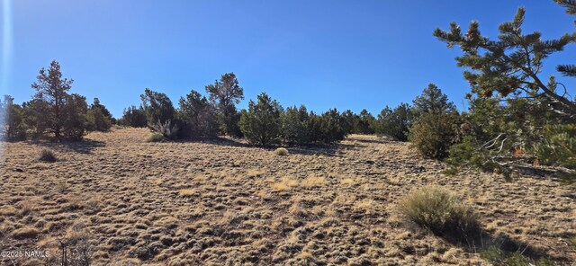 4519 Lasso Loop Unit B, Williams, AZ 86046