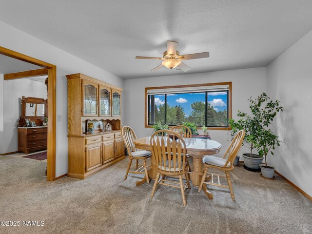 5545 E Atkinson Rd, Flagstaff, AZ 86004 - photo 10