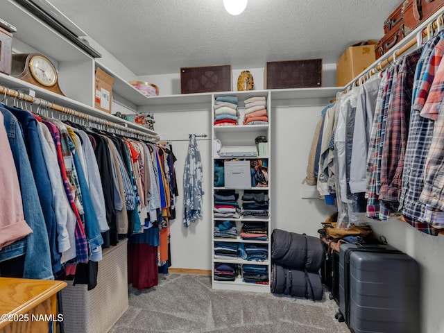 5545 E Atkinson Rd, Flagstaff, AZ 86004 - photo 22