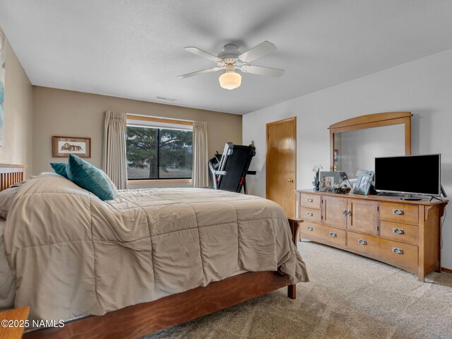 5545 E Atkinson Rd, Flagstaff, AZ 86004 - photo 21