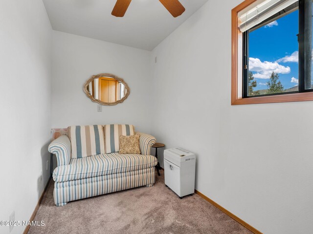 5545 E Atkinson Rd, Flagstaff, AZ 86004 - photo 29