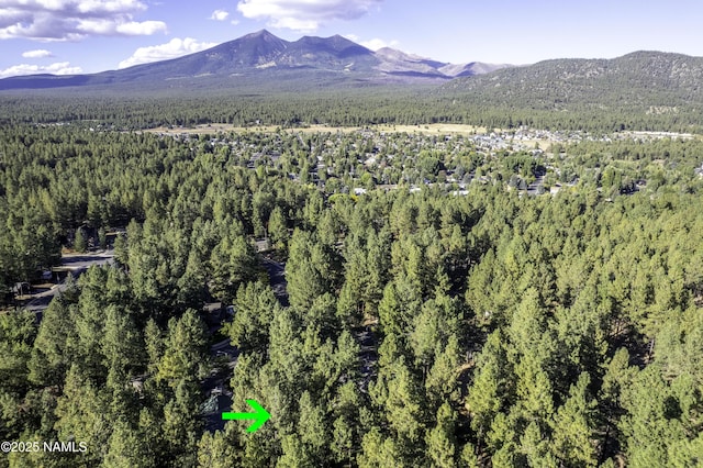 property view of mountains featuring a forest view