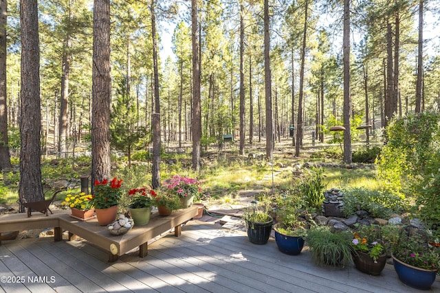 view of wooden deck