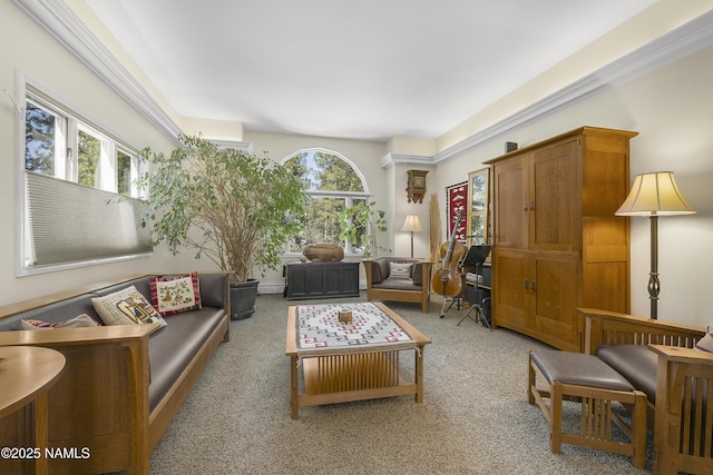 living room featuring carpet flooring