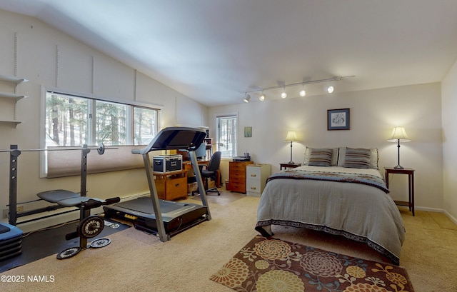 bedroom with rail lighting, baseboards, lofted ceiling, and carpet