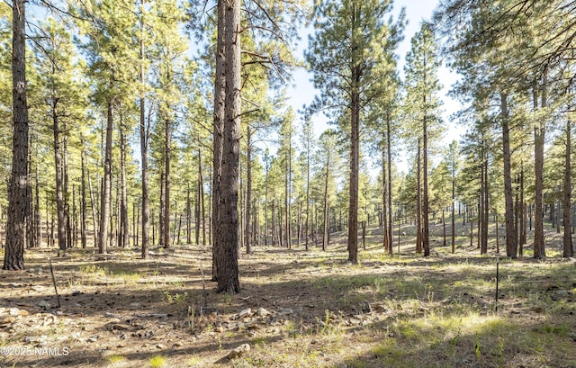 view of local wilderness