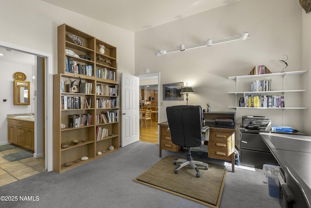 office area featuring light carpet and a high ceiling