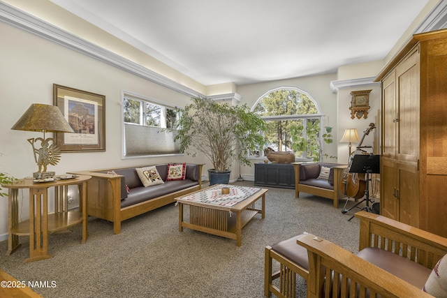 living area featuring carpet and a healthy amount of sunlight