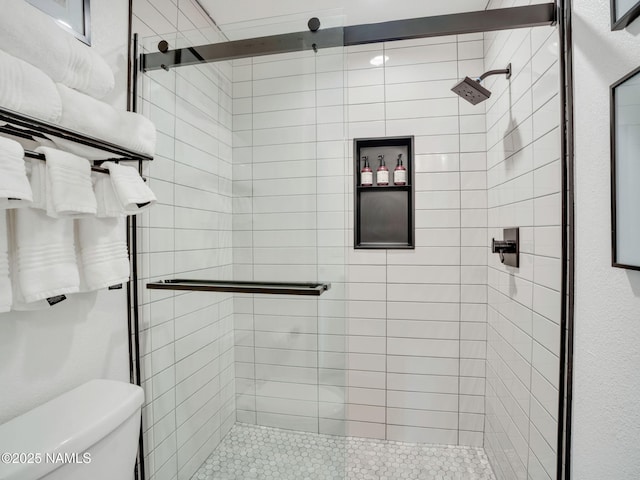 6136 E Abineau Canyon Dr, Flagstaff, AZ 86004 - bathroom with a shower stall and toilet