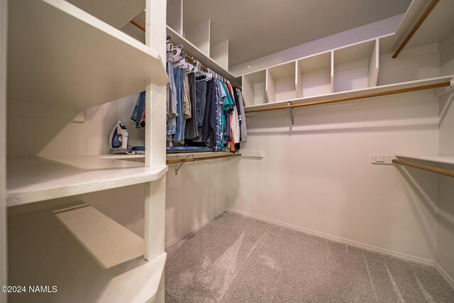 walk in closet featuring carpet flooring