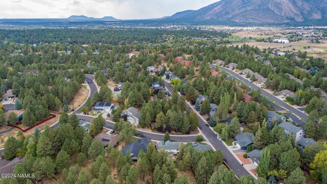 birds eye view of property with a mountain view