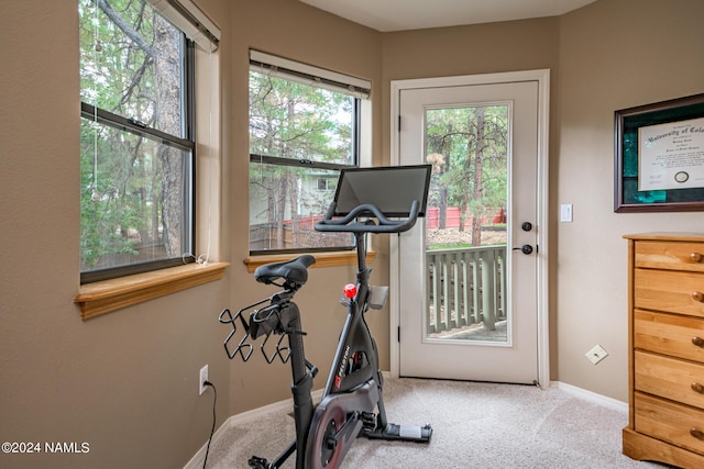 exercise area with carpet floors